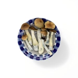import placeholder for 1892