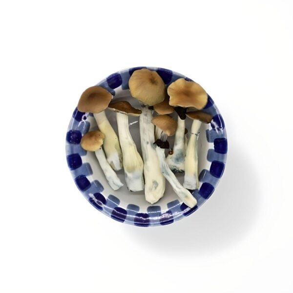 import placeholder for 1892