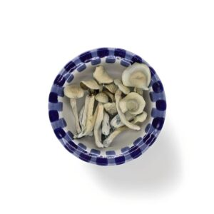 import placeholder for 1758