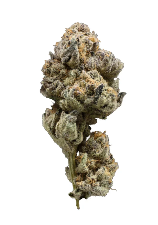 sun run thca flower